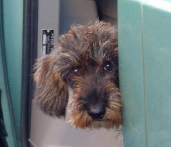 Hexe (Wanda vom Leinpfad)